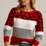 Dorothy | Leopard-Print Colour-Block Jumper